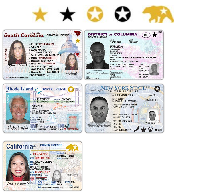 Enhanced Driver's License for International Travel