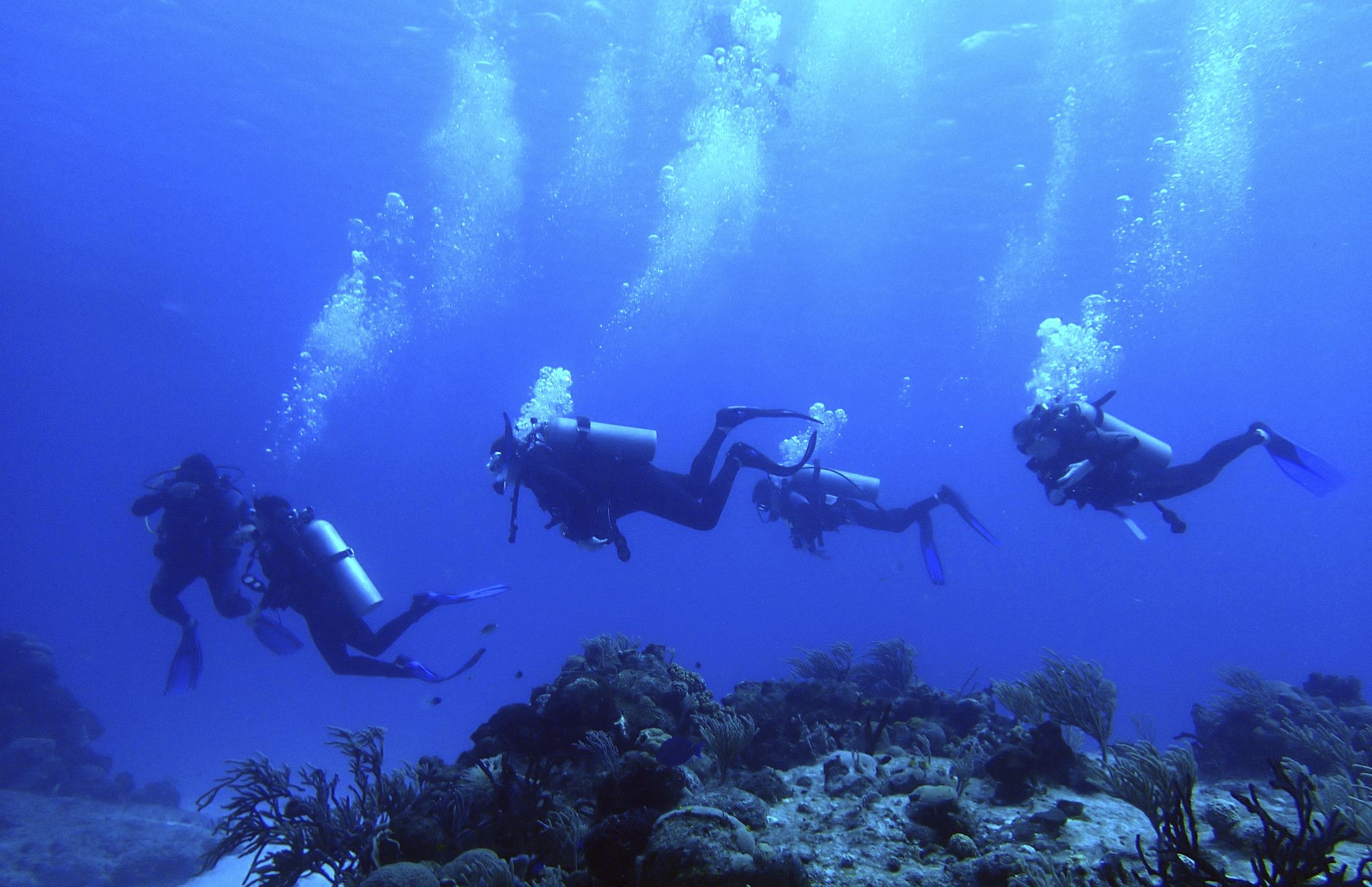 304007_Cozumel_Scuba_122714_042.jpg