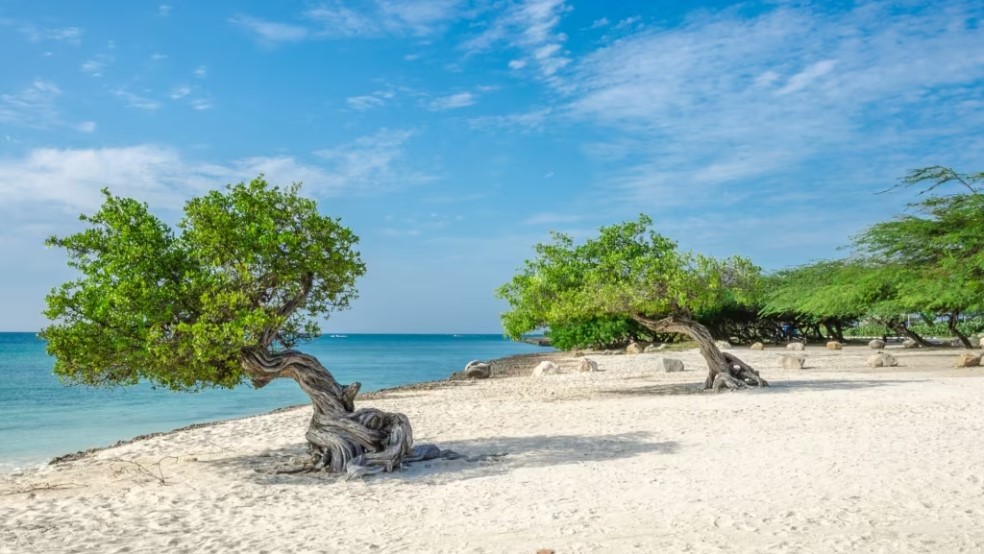 Eagle Beach, Aruba.jpg