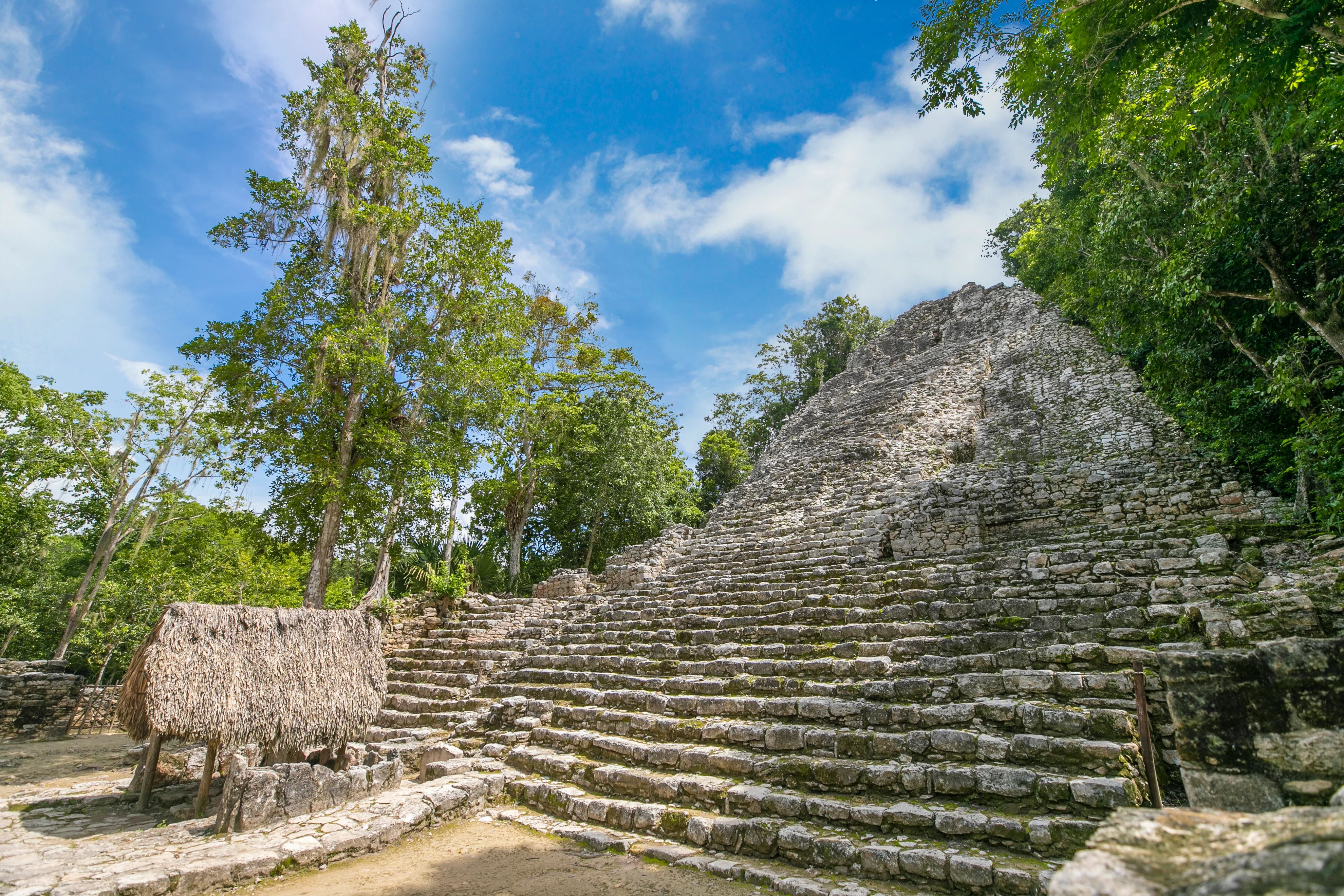 RCL_AL__Cozumel_Cody_2018__188_RET.jpg